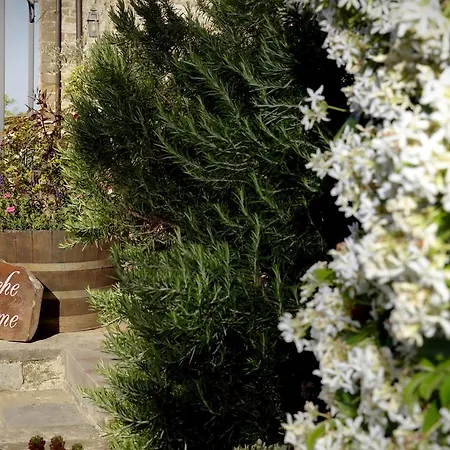 Bed & Breakfast Antiche Rime 3*